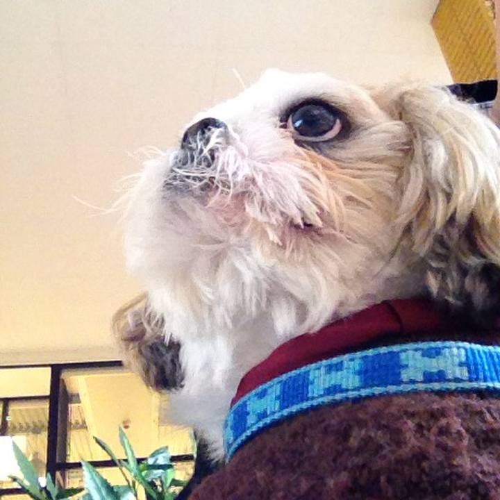 5a93cd2d 252e 489f 8147 dfefdd585b93 1509399057312