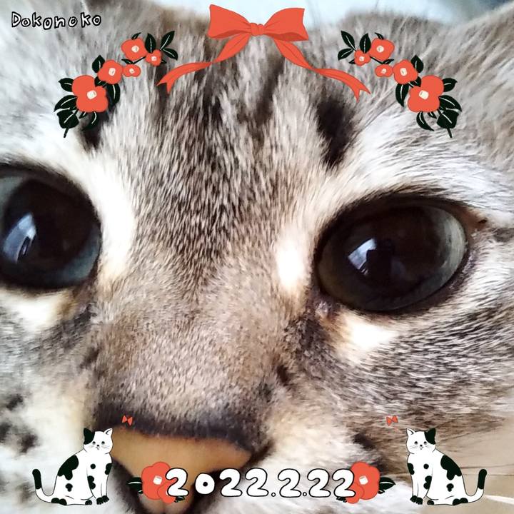 5a940cb7 7cde 4367 8863 338b6eabf0fd 1645494133396