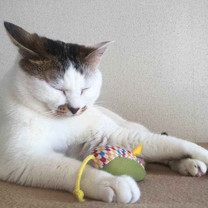 5a94189e 29af 48f5 9827 5674db087bf1 1618967406216