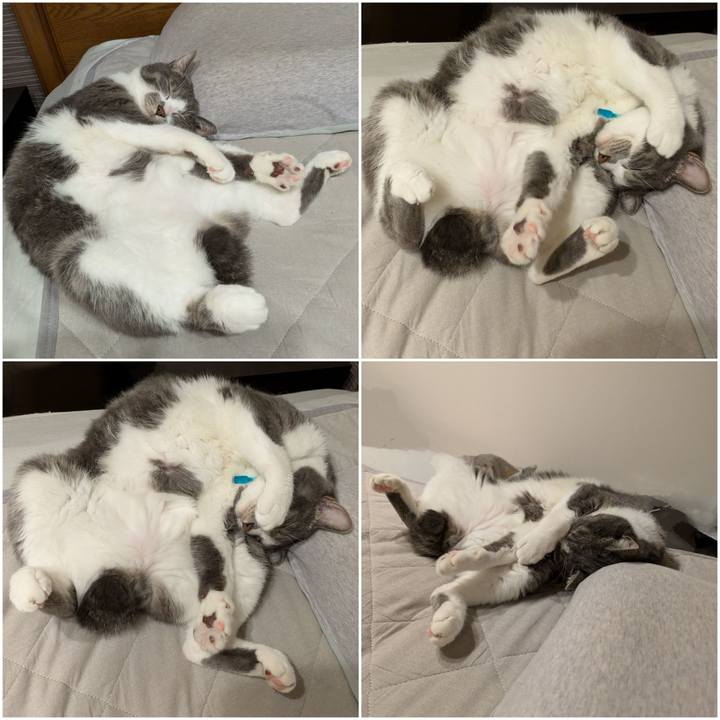 5a94ad13 aec6 46a0 99ba ab3ad6f998ab 1726750159099