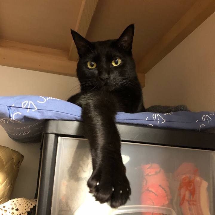 5a952227 d8a5 413c b46d 76959529d23b 1547899414230