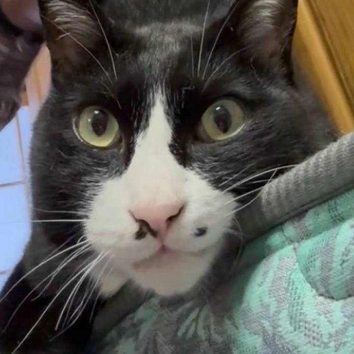 5a9527a2 fc9c 44aa 80f4 76cc95f3957e 1748829465953