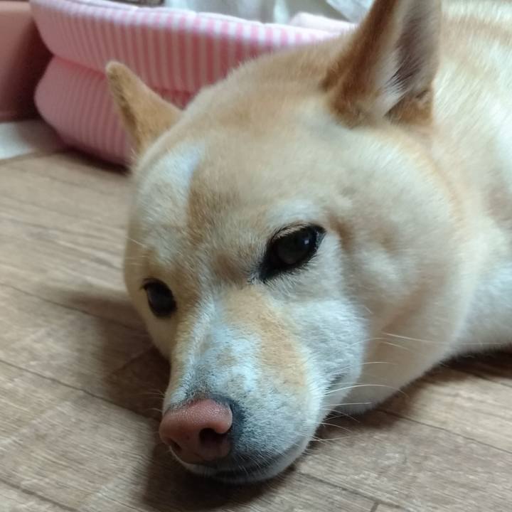 5a957bbc ac9b 4520 9a1a b31859d69d16 1594330434618