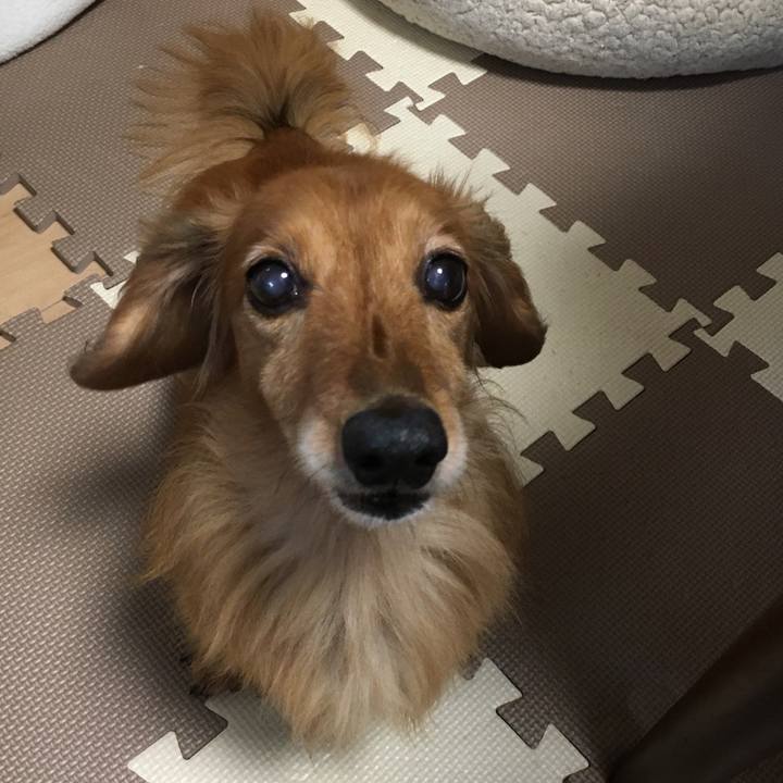 5a959eef ae9d 41d6 9611 f4d4c8cb103d 1590840076627