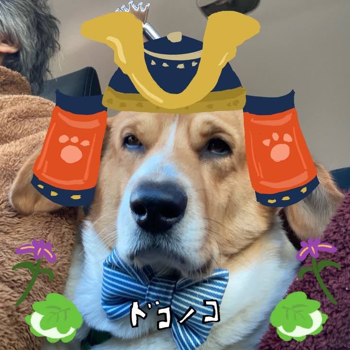 5a95a678 5aa6 4e91 85d9 3f532cf0fe4e 1714959751241