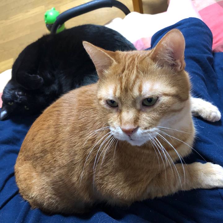 5a95b468 f85d 4298 9356 96ce548bc6f8 1709552921389