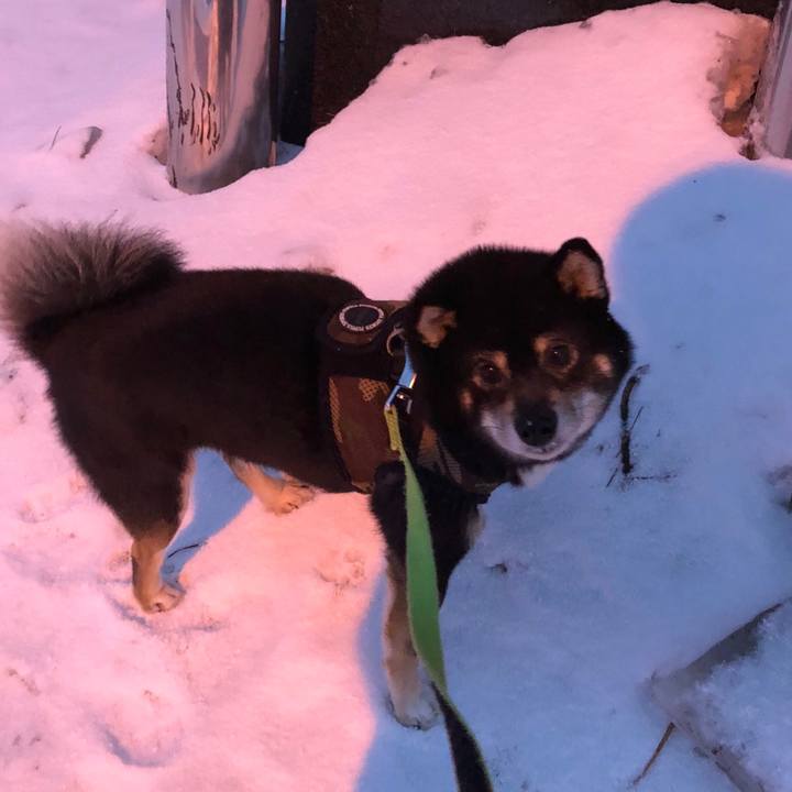 5a95d7c8 cd73 4625 8dda 70d81fe5c969 1520638531709