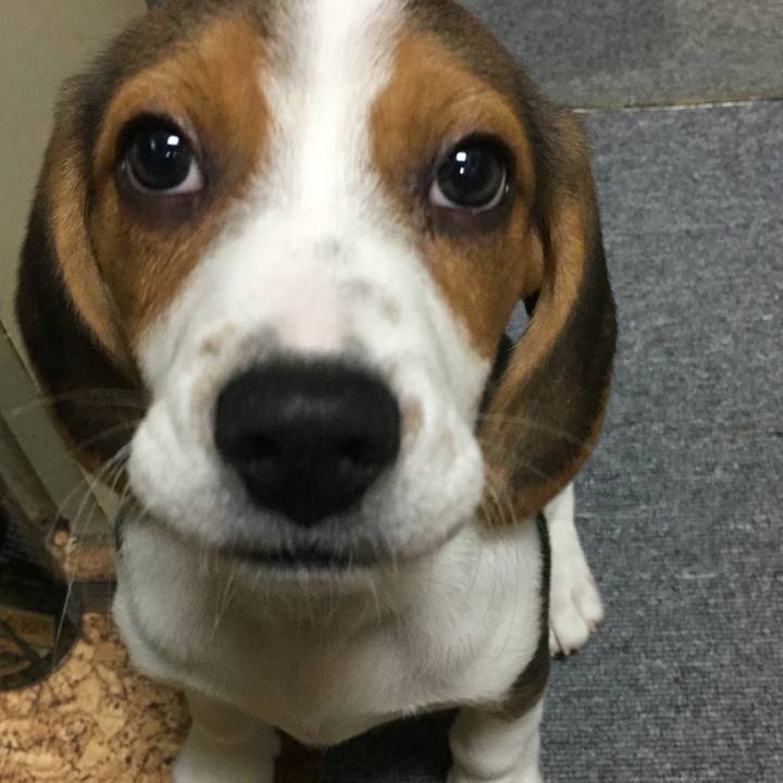 5a963229 805e 4e18 8735 e3ac41eb697d 1513492626893