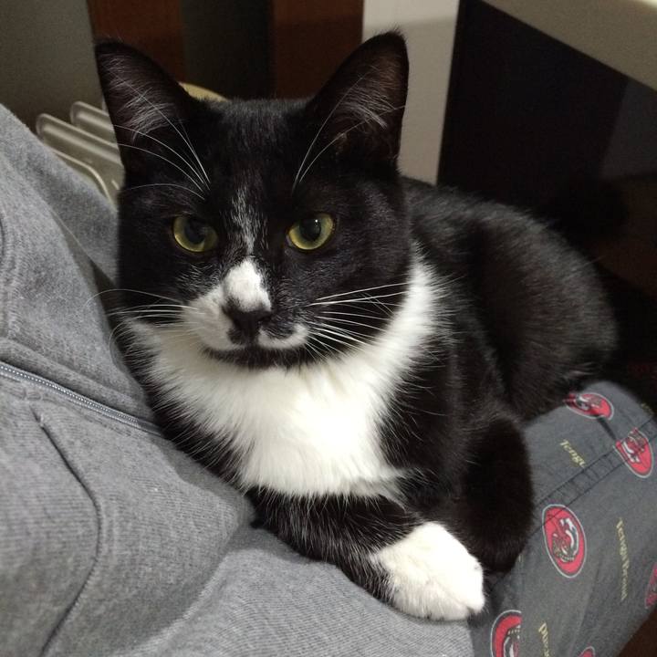 5a96467e 9b04 4a7b 8d49 dd7b43e670b5 1509076047662