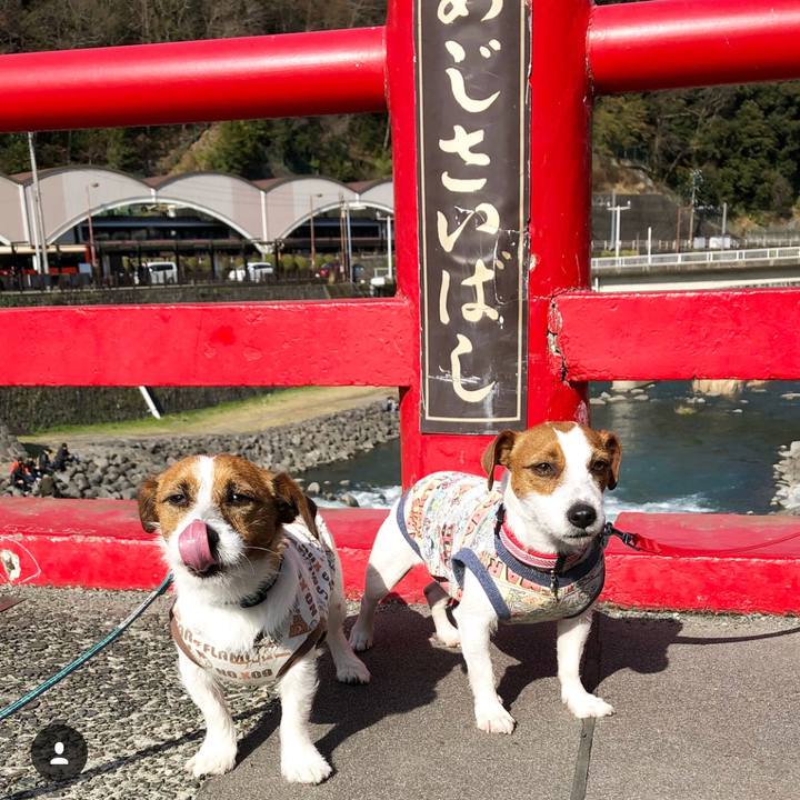 5a965701 023f 4480 beb7 b1e714d0b71d 1520940255761