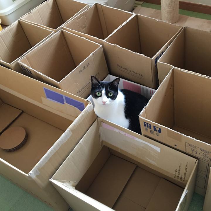 5a965f08 cde5 400f 9a59 bd05535e37eb 1583641492975