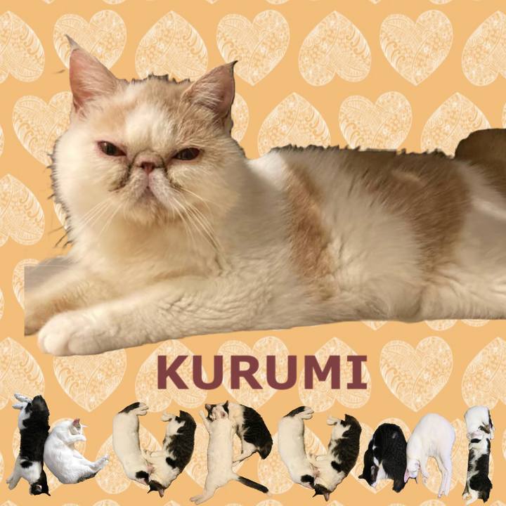 5a966084 697c 41da beb0 5016ed0a7f43 1667790987348