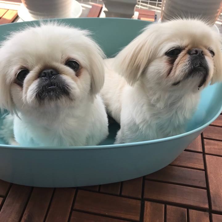 5a96b1ce e839 47f9 bc20 47ee8aefdec2 1527380368428