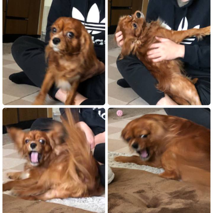 5a96d23a d498 47da b40e e585e03805d4 1552221076105