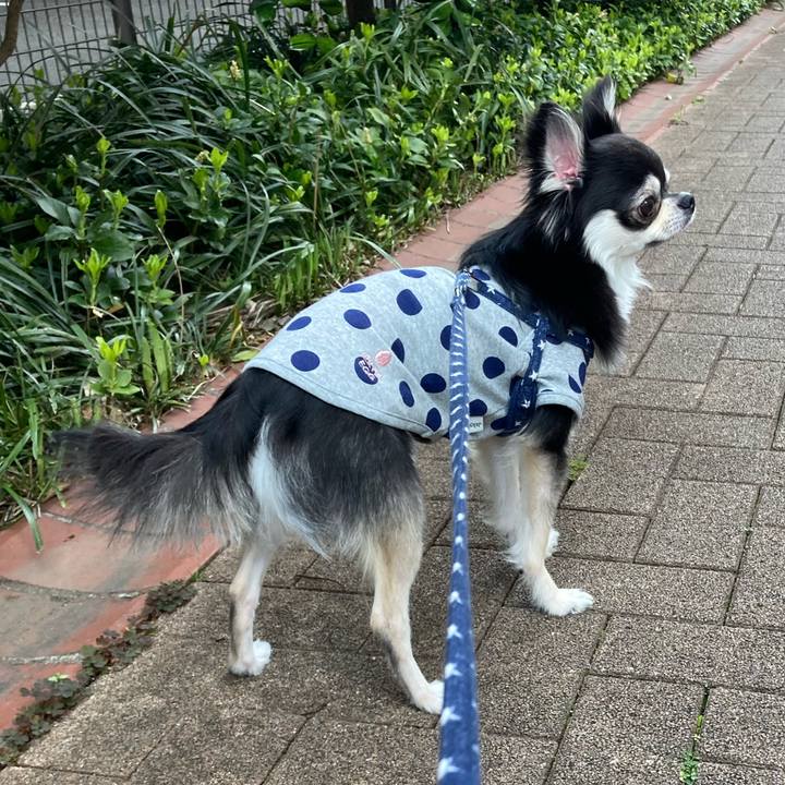 5a96f6e9 7c1e 4269 a397 79bc966d9fe6 1649512624455