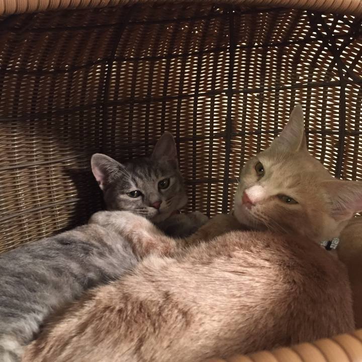 5a971397 15d9 431e 963b ea1c28f5eefe 1540474466290