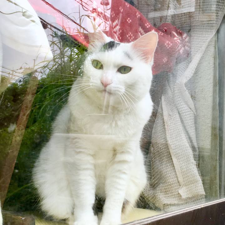 5a97361d f608 495a a2c2 11e6fd7c095d 1565753239046