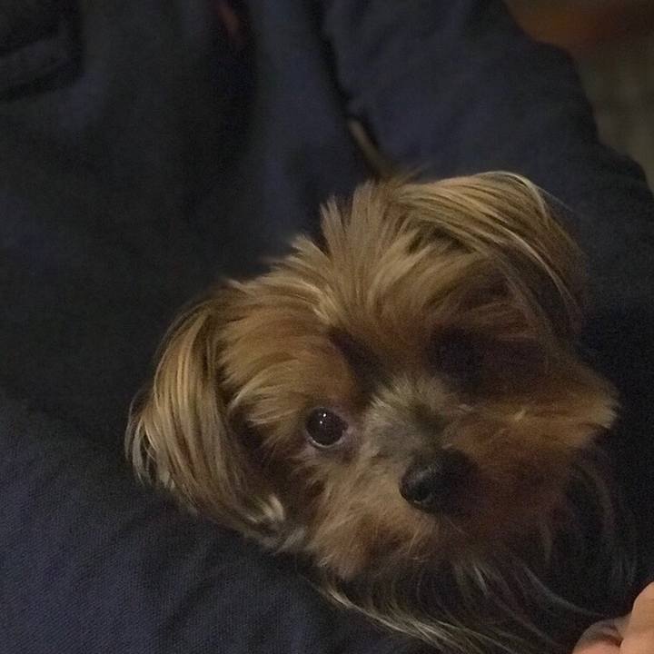 5a979925 190b 4a11 b431 34bda4b80c45 1511609492120