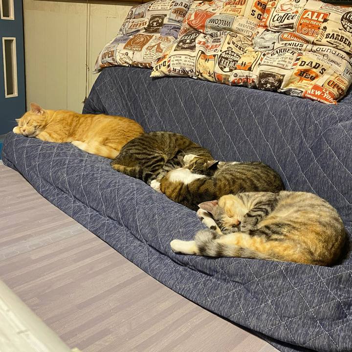 5a979fcc d956 423a b083 7c37f5e2c5f5 1620476984211