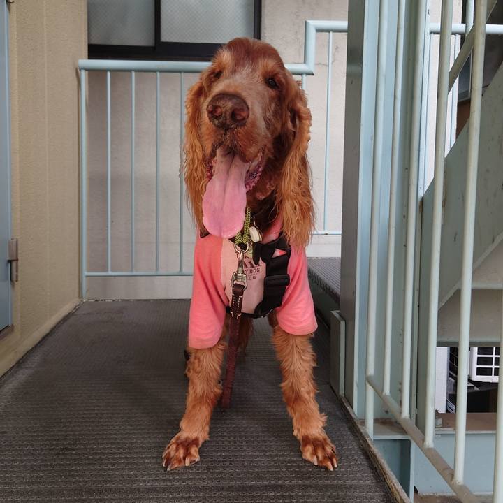 5a97acc4 b8c4 4035 8d19 81c0061a7e18 1708409277209