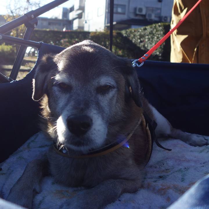 5a97c6fb 23f9 4dbd acb5 c090414396b6 1575424933272