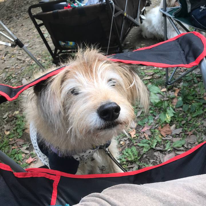 5a97cfff f608 47cb a823 b7c5a17fbf1b 1542541374491