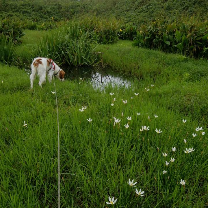 5a97e9b5 7681 4f1b b329 1752b27182d0 1536972310160