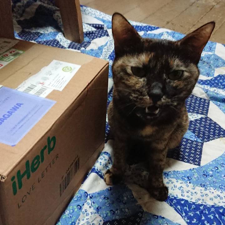 5a9818b1 bb90 4ad8 a2a3 4c840d1ce067 1576230412237