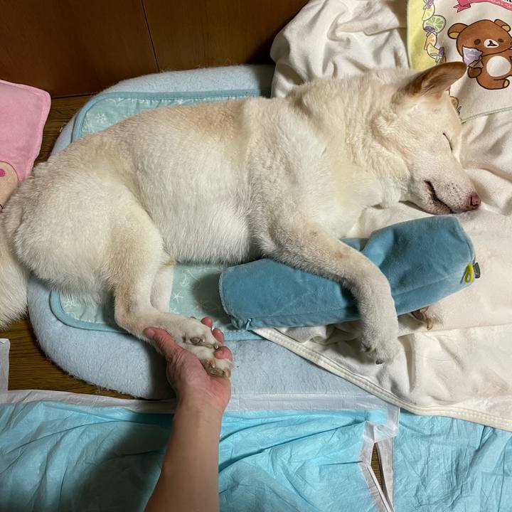 5a981913 87e0 4e75 a02b 339d19a366ab 1634725610626