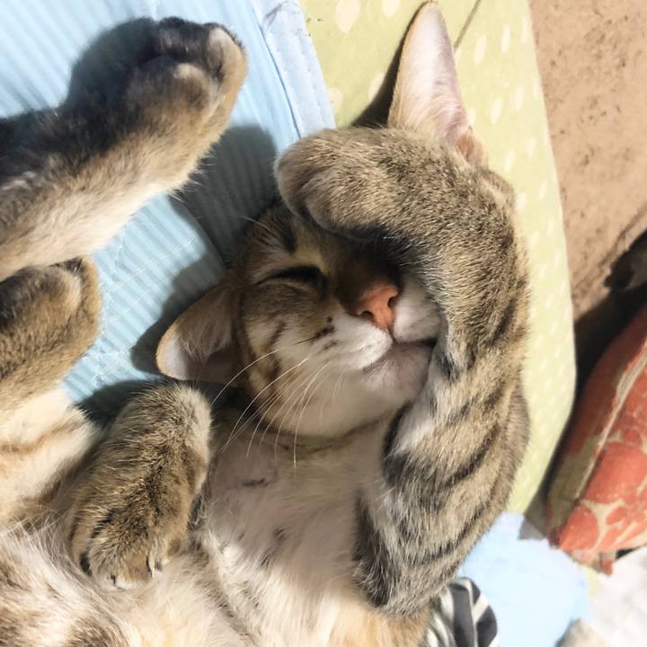 5a9864e5 dd70 4c14 9f6c 848e4b795f5d 1624280915466