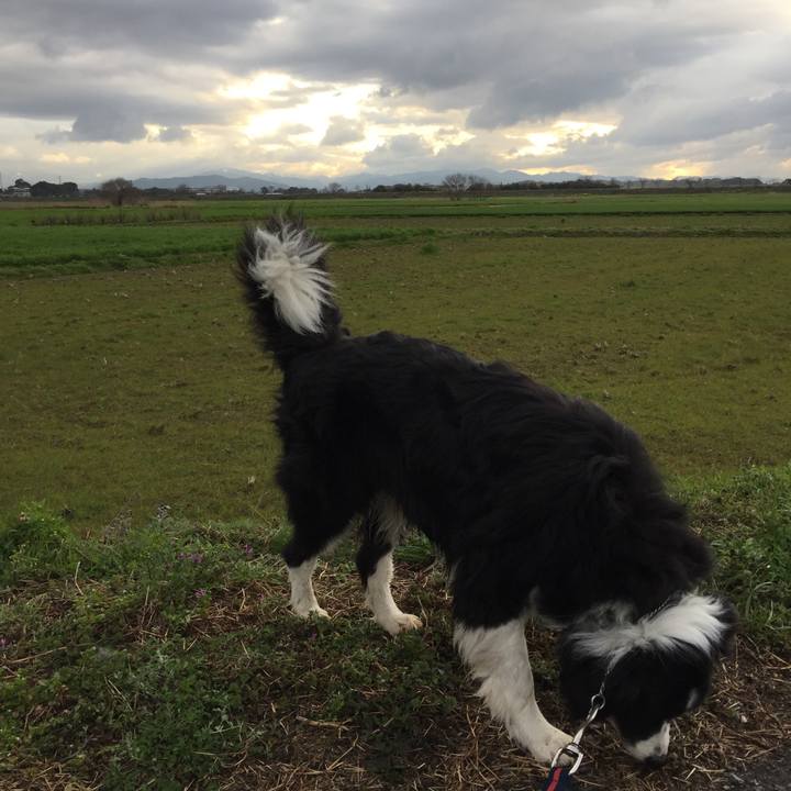 5a98b27d 8ad0 471e 868e 22cb5f84ba35 1582757901451