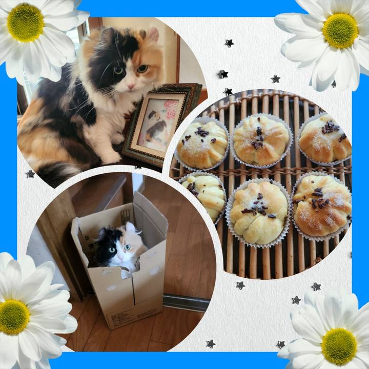 5a98e656 5e8d 4086 a6aa 2ff631ecfa62 1755039573321