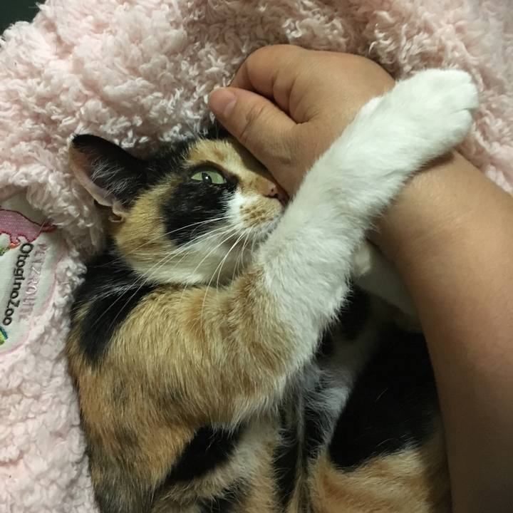 5a98fe26 6ad5 4fc5 a89c 4d92ca62ef42 1510318738277