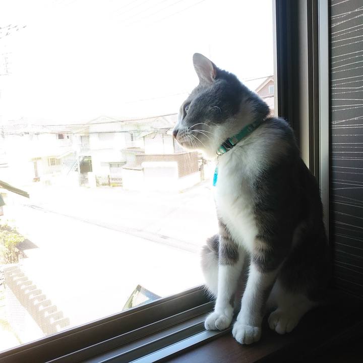 5a9927e6 7fd5 4ad2 947e 5aa936a7b199 1589688491320