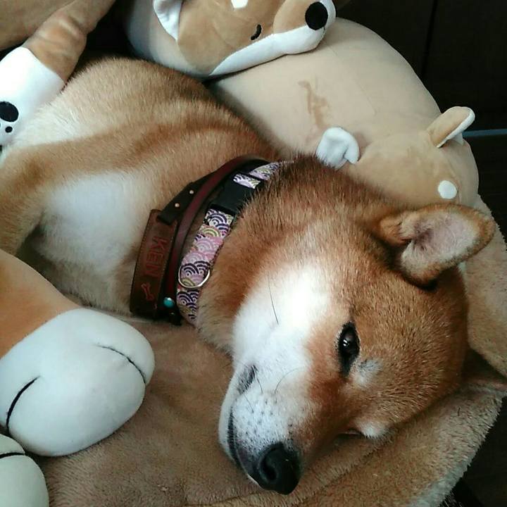 5a994287 6593 414a a5d7 79c061940835 1536029956152