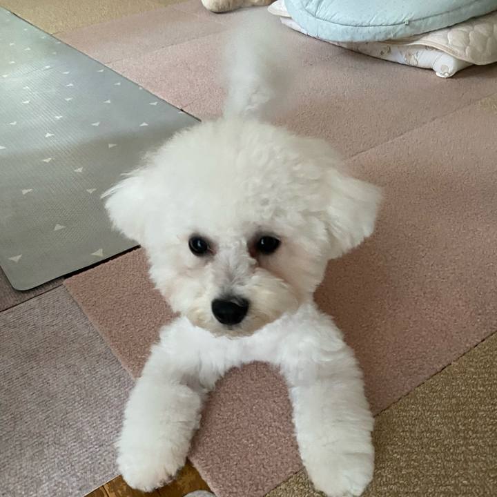 5a9957a4 e399 412d ac8e 2139e955920d 1755925189461