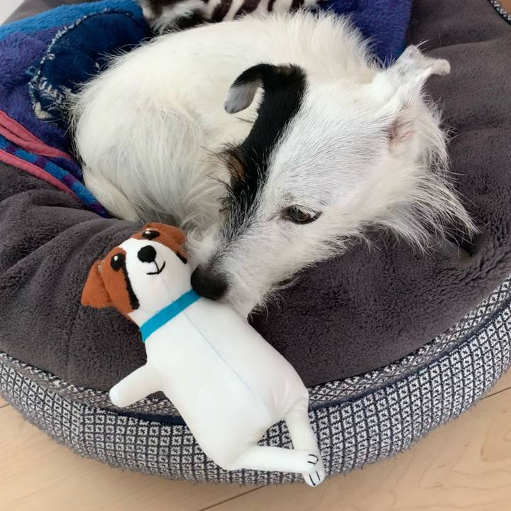 5a996cf0 a189 4563 993a 31a2ec9d67c3 1666844745991