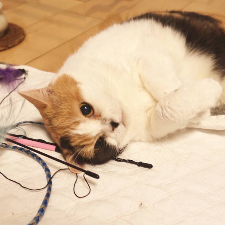 5a99c46f 9481 4d02 aee6 d5358366b012 1523118087949