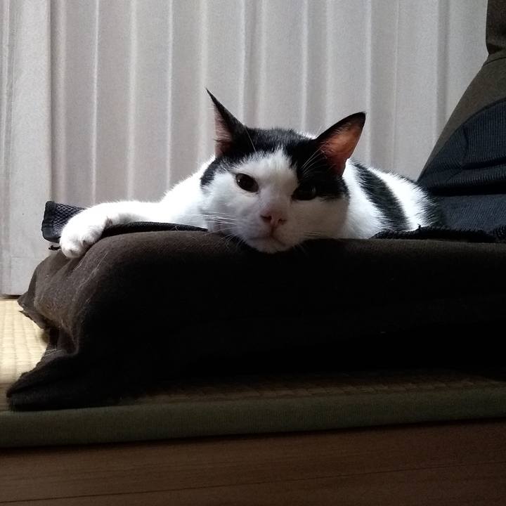 5a99c75d 5d5c 4eea a9fc 6e48cfdac580 1566572782743