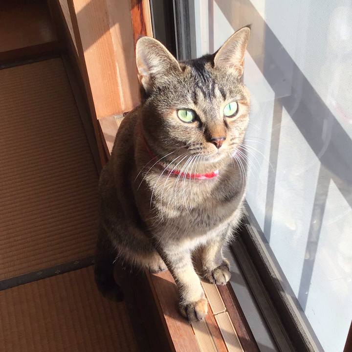 5a99f5fe 1625 47cf b64f 3ceb16e1efb3 1613005425472