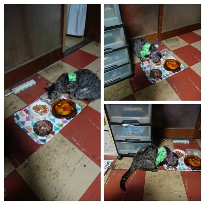 5a9a46dd fb97 496e b9bb 71fc331fc3e4 1587029097266