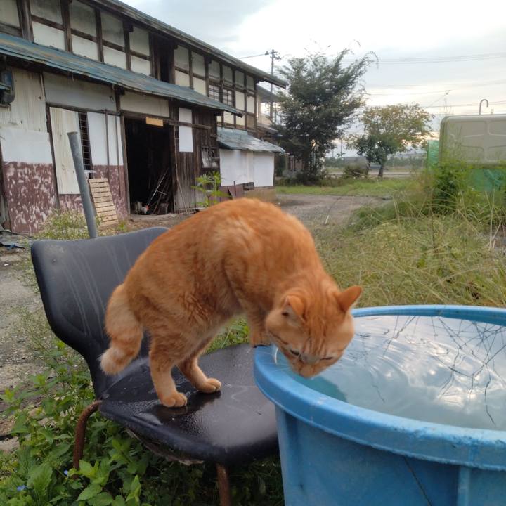 5a9a5d4f 01ab 43a7 9c78 ca58469bae86 1664145382748