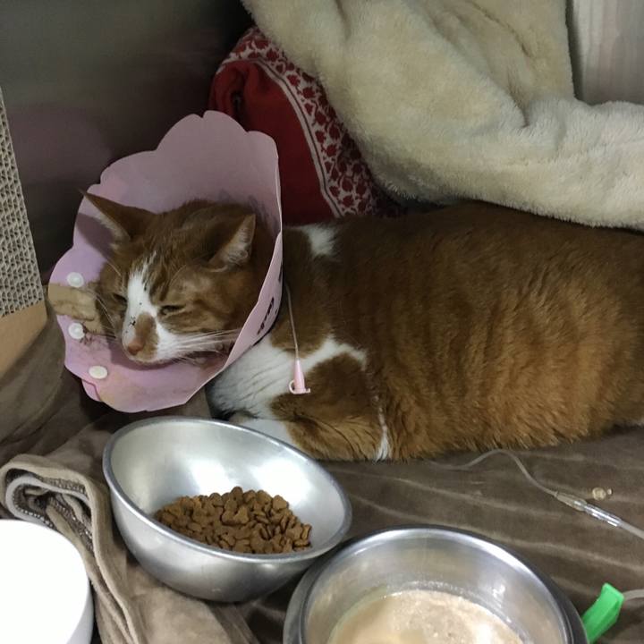 5a9a6eba 9456 4cf2 9657 bb3832b8f59a 1520242866889