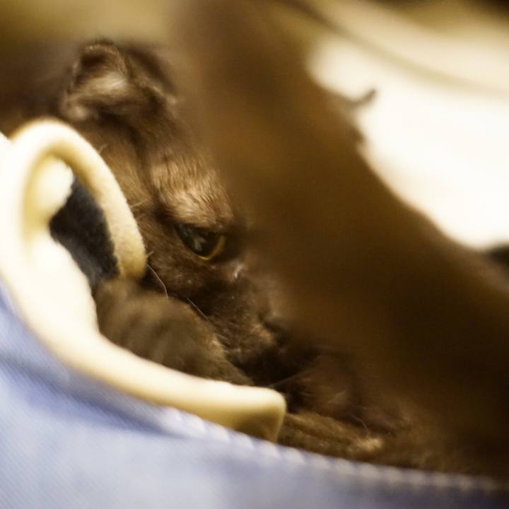 5a9a7ccc 40a0 4805 926c d69ab8d6d802 1645628394661