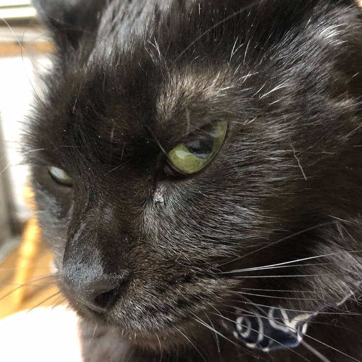 5a9a878a 5931 4133 ab8b 81834af31e6d 1578484403076