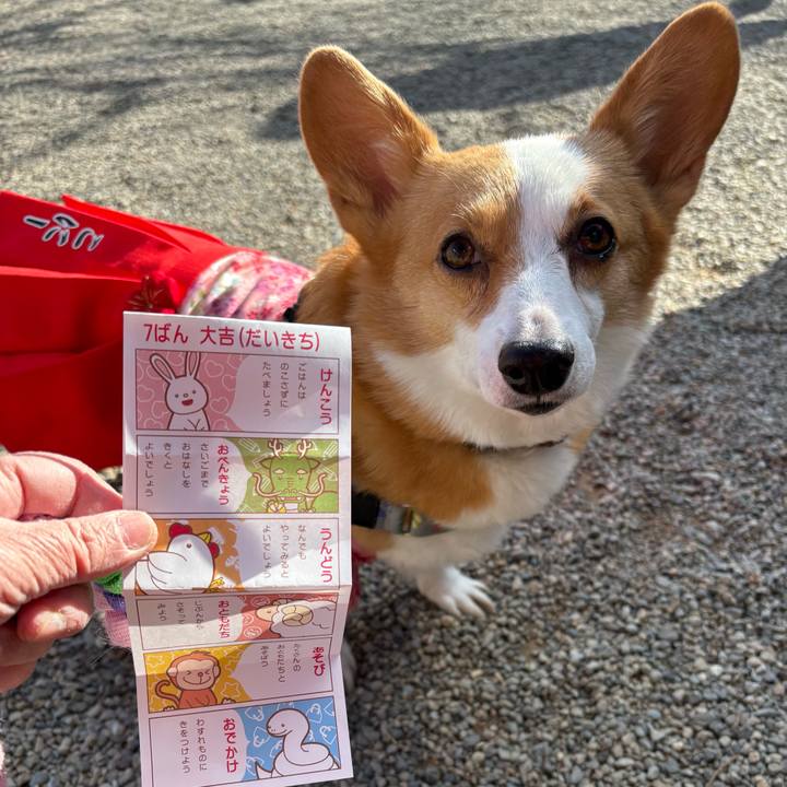 5a9ab712 2d1e 496a 9161 b445f37945ef 1769319807680