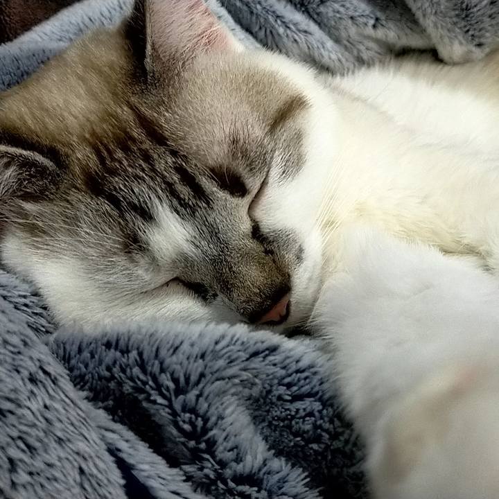 5a9af0f2 b5e3 4b6d 86da fc38837662fe 1604835460873