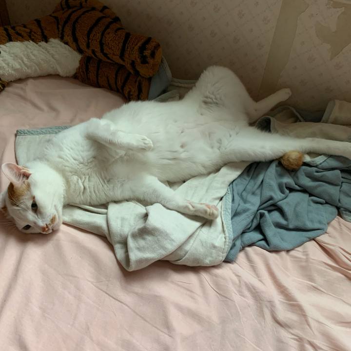 5a9af99b 6f92 4e15 8163 5e18f31e7964 1599169788240