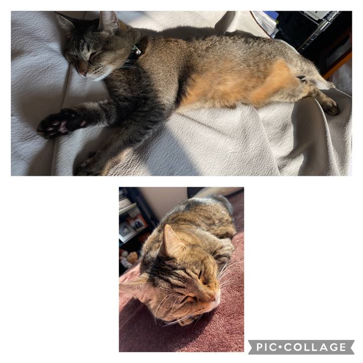 5a9b07e3 7344 4fce 8b32 776d6b397129 1612677548315