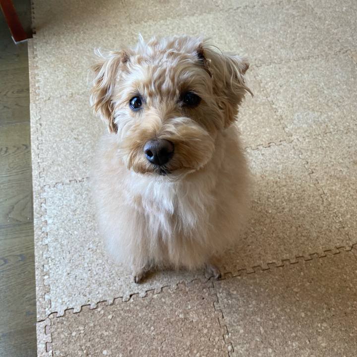 5a9b1cfe 535a 4dd0 ab0d 959911564ec7 1645137316451